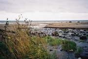 Click to enlarge